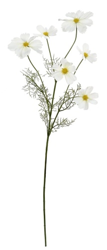 Cosmos белый 90 см